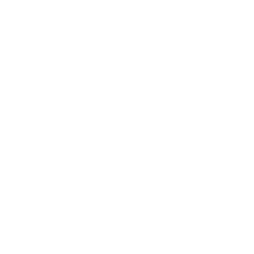 Logo Andreatta Nicoletti, cliente di Cerbero Marketing
