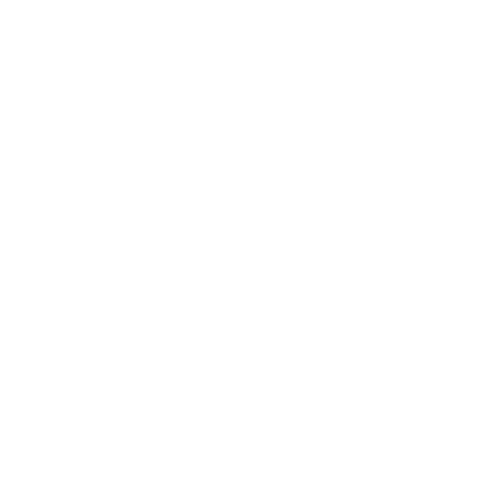 Logo Lorenzo Caoduro, cliente di Cerbero Marketing