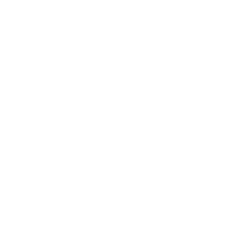 Logo RS, cliente di Cerbero Marketing